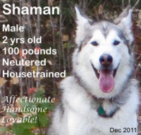 Photograph of Shaman